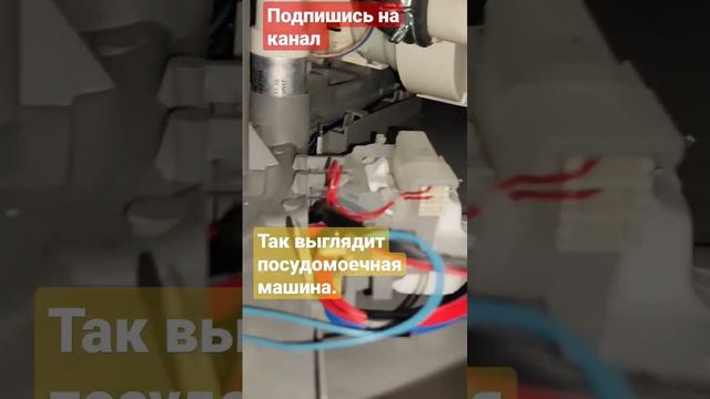 Что внутри посудомоечной машины?