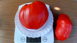 Томат, Гребешки