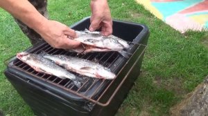 Копченый хариус. Отдых на даче в деревне.