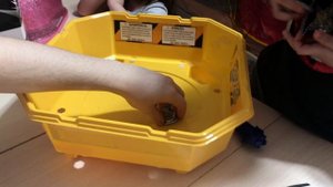 Бейбэйд бёрст арена против Инфинити Надо Распаковка Обзор Beyblade vs Infinity Nado огромные наборы