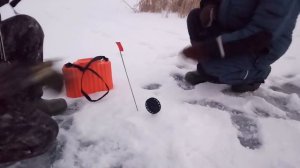 Ловля щуки на жерлицы! Момент подсечки и вылов!