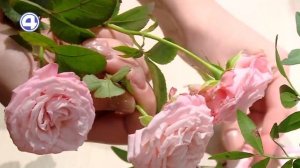 КАК СОБРАТЬ ВПЕЧАТЛЯЮЩИЙ БУКЕТ? Мастер-класс от флориста! Утренний Экспресс 19.12.23