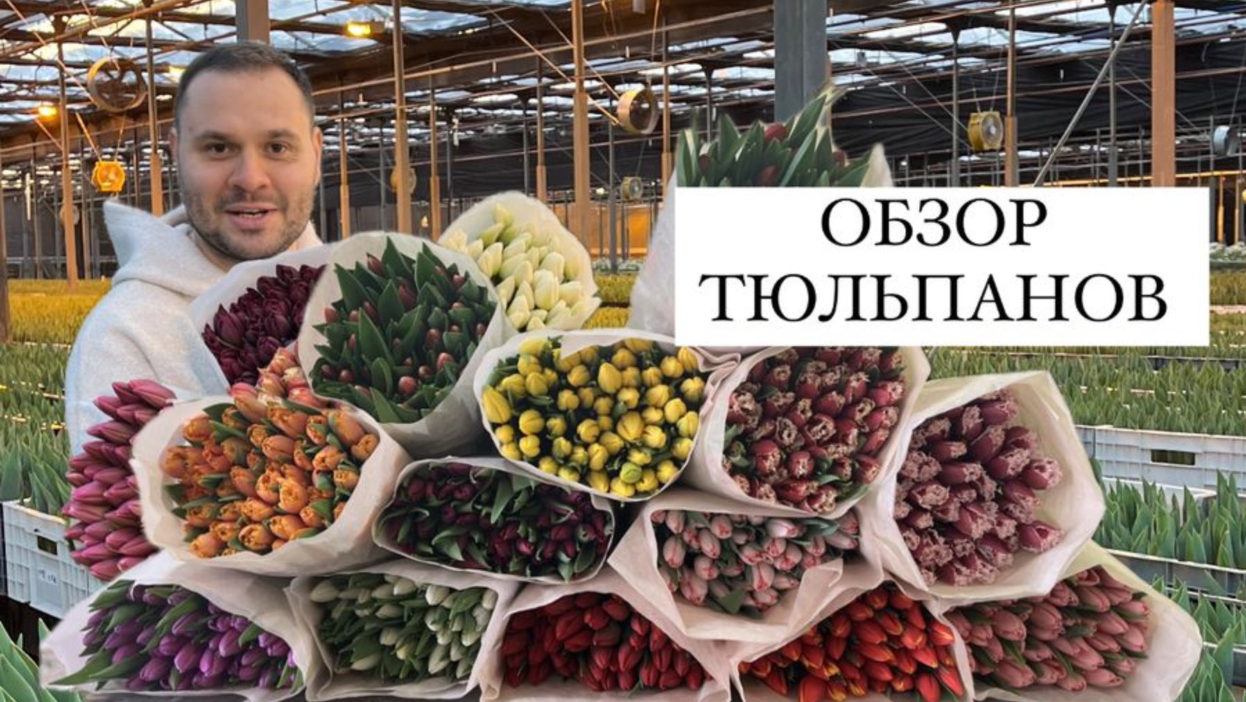Тюльпаны оптом. Обзор тюльпанов 🌷