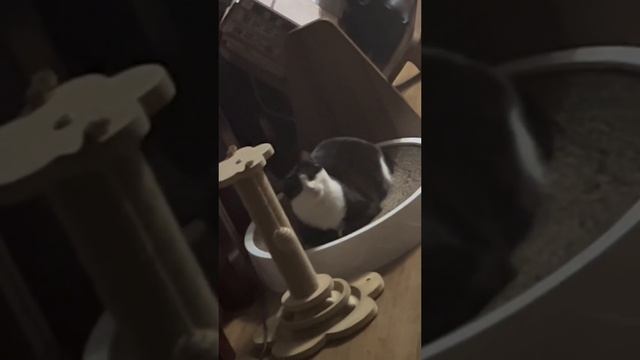 1000002202.mp4 смотреть онлайн