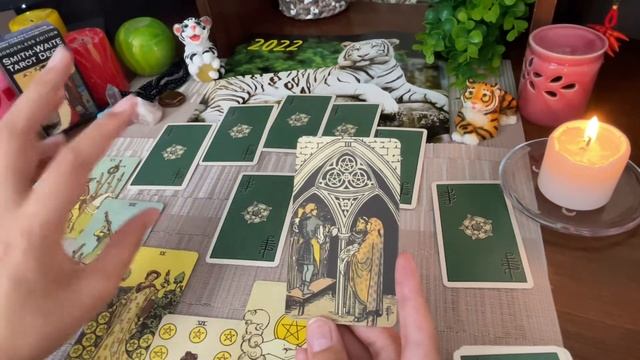 Таро расклад ♋️Рак 2022 Год Тигра Расклад на будущее на 12 домов Гадание на картах онлайн смотреть онлайн