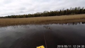 Ловля щуки на утёнка