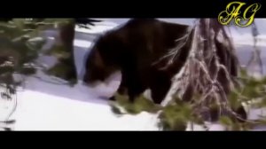 ? С одним НОЖОМ против МЕДВЕДЯ! случай в тайге!