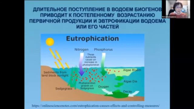 Лекция 1 - ЭВТРОФИКАЦИЯ. ИСТОРИЯ ЗАГРЯЗНЕНИЯ ВЕЛИКИХ ОЗЕР МИРА. НАУЧНО-ПОПУЛЯРНАЯ ЛЕКЦИЯ