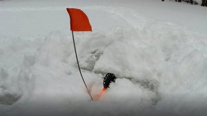 ПОКЛЕВКИ ЩУКИ НА ЖИВЦА. Зимняя рыбалка на жерлицы. #42