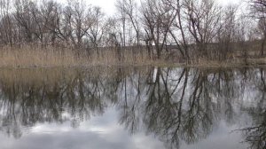 Слобода Волчьи Воды.