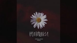 Клип Ромашки- IVSHINA (Zheez Remix).