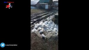 Тракторные шины 6.5/80-13 Petlas (Starmaxx) на автомобиль ЛуАЗ, видеотзыв от Покупателя, MinyTraktor