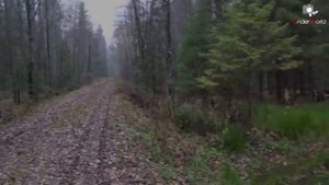 Почему вымирает Россия?????????????