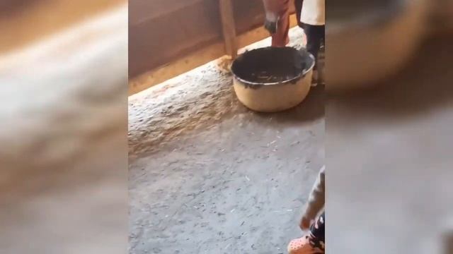 Valentine's day ☺️ special gift to my Mom ? ( sketch of mom pic ?) смотреть онлайн