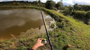 ПЕРВАЯ РЫБАЛКА В СВОЁМ ПРУДУ!!! [Жизнь в деревне]