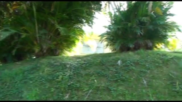 Mountain View Home Sale Rio Grande Puerto Rico Casa Venta Vista Yunque смотреть онлайн