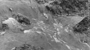 образцы специальных автомобилей ЗИЛ для Советской армии