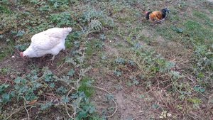 БЛОГ ДЛЯ ТЕХ КТО СМОТРИТ КАНАЛ ГУСАРИХА