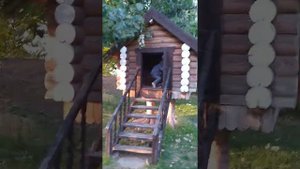 Росинка Астрахань 2020