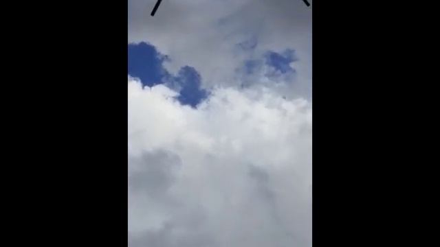 Николаевские голуби Сергея Родионова (Репортаж из Омска...). Волгоград. Часть 40. смотреть онлайн