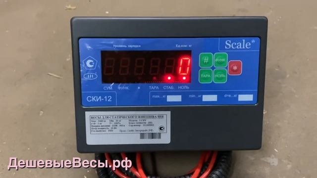 СКЕЙ СКУ | Весы паллетные