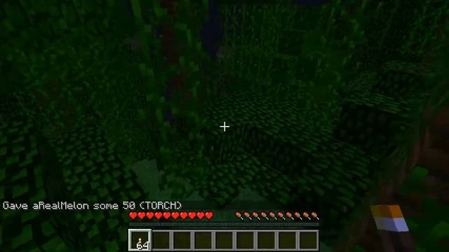 Bukkit Server: How to connect & some commands! - HowToBukkit Part #3 смотреть онлайн