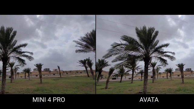 The New DJI Mini 4 Pro VS DJI AVATA | NIGHT MODE | Camera Test