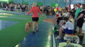 Иркутск Моно 07.06.2015 BEST IN SHOW