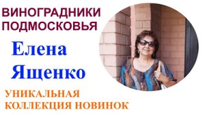 Коллекционный виноградник в Подмосковье или в гостях у Елены и Вячеслава Ященко 12.08.2021