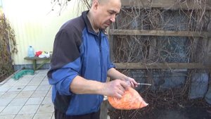 Томленая говядина с овощами. По-сибирски.