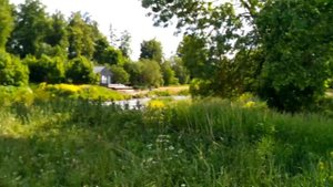 Пос. Пудость. Ленинградская обл.