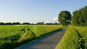 Про свекровь, которая сама виновата в своём положении. Аудио рассказы