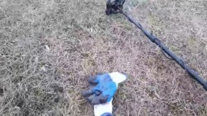 Коп с Макро Мульти Крузер.