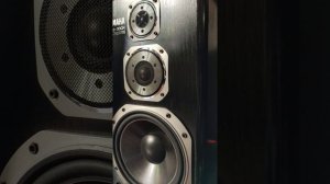 Yamaha NS 300x Speakers