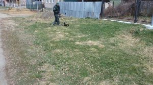 Самодельная насадка на триммер - ГАЗОНОКОСИЛКА.