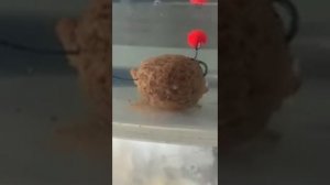 Как ведёт себя ПВА стик под водой. Секреты рыбалки.