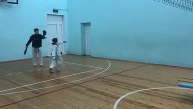 Тхэквондо Новая Сидоровка 26 02 2020 Plyometrics For Taekwondo смотреть онлайн