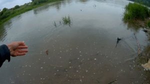 Рыбалка в Краснодаре. Спиннинг на реке Кубань в мае.
