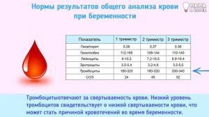 Общий анализ крови при беременности. Расшифровка результатов