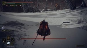 СОЖЖЕНИЕ ДРЕВА ЭРД | Прохождение Elden Ring | Часть 118