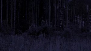 Темный экран. Спокойный ночной дождь для сна и отдыха.