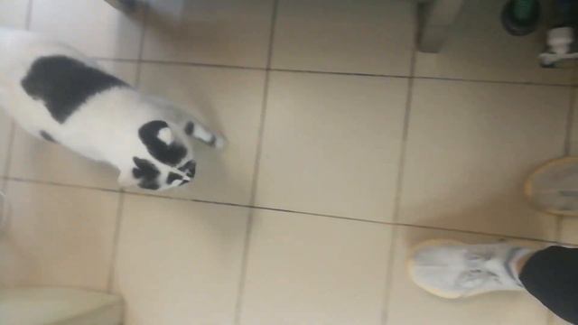 Ласку любят все смотреть онлайн