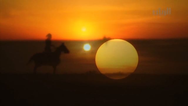 Соколиная охота в Арабских Эмиратах(ОАЭ)
