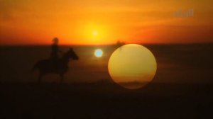 Соколиная охота в Арабских Эмиратах(ОАЭ)