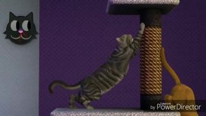 5 ФАКТОВ О ПИТОМЦАХ В SIMS 3/ПИТОМЦЫ В СИМС