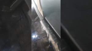 Как обклеить резинку лобового стекла