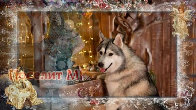 С Рождеством Христовым! Красивое поздравление с Рождеством!