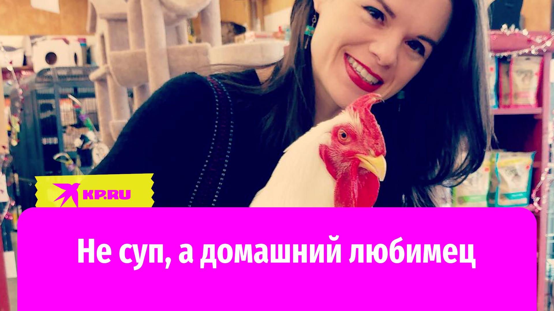 Не суп, а домашний любимец