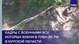 Кадры с военными ВСУ, которых взяли в плен ВС РФ в Курской области