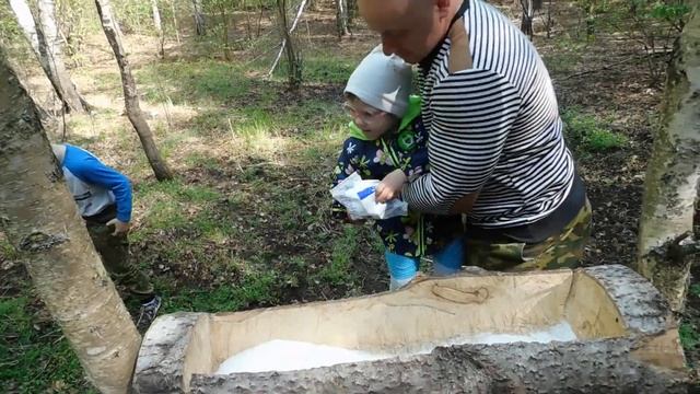 Установили новый солонец, помощь оленям, лосям. Помощь природе, солонец для лосей